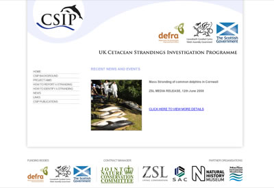 nxmd webdesign portfolio sample