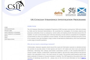 UK Cetacean Strandings Investigation Programme