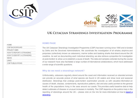 UK Cetacean Strandings Investigation Programme