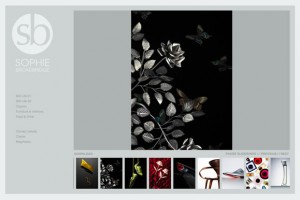 Sophie Broadbridge Photographer